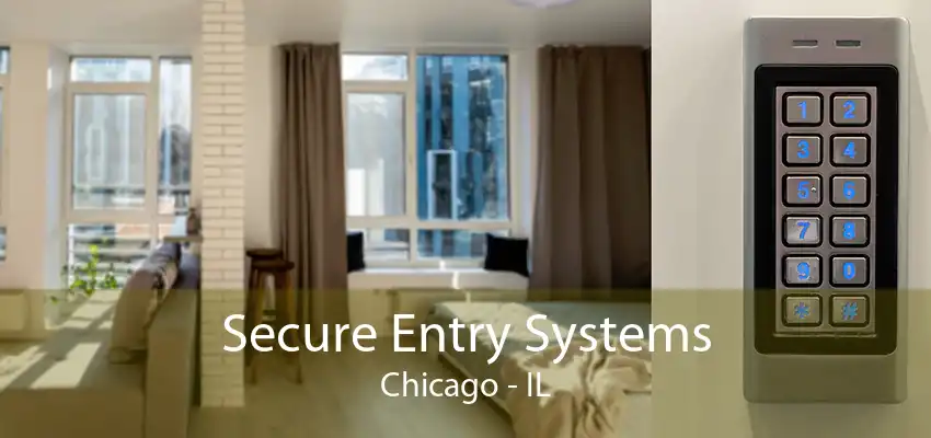 Secure Entry Systems Chicago - IL